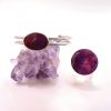 Conjunto Luz Violeta