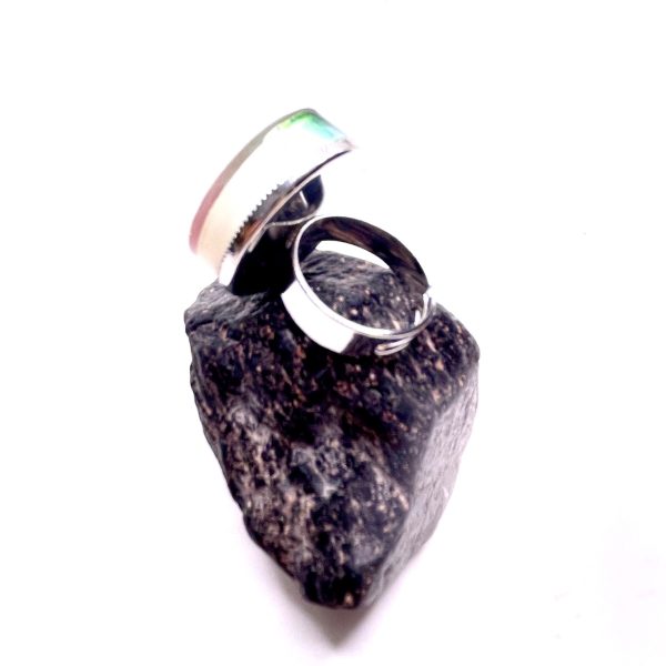 Conjunto Folhas ao Vento - Image 5